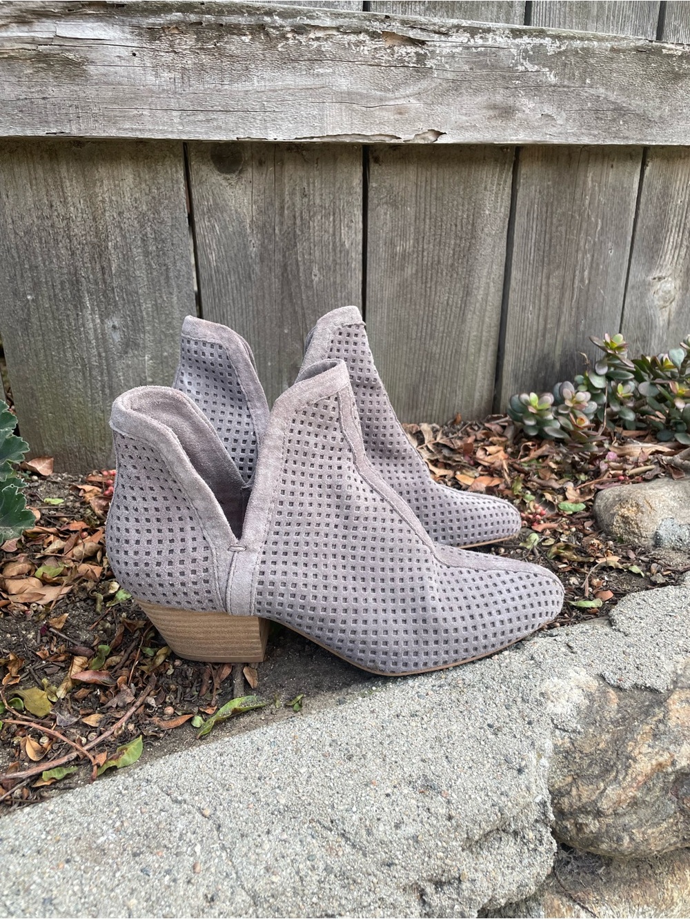 Splendid Taupe Perforated Suede Ankle Booties